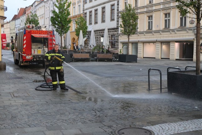 Blutspur am Stadtplatz in Wels-Innenstadt sorgte fr Einsatz der Feuerwehr