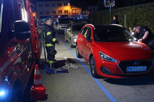Ktzchen narrte Einsatzkrfte: Samtpfote versteckte sich im Motorraum von gleich drei Fahrzeugen