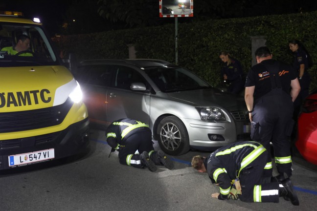 Ktzchen narrte Einsatzkrfte: Samtpfote versteckte sich im Motorraum von gleich drei Fahrzeugen