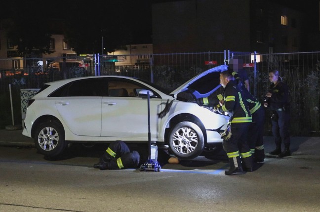 Ktzchen narrte Einsatzkrfte: Samtpfote versteckte sich im Motorraum von gleich drei Fahrzeugen