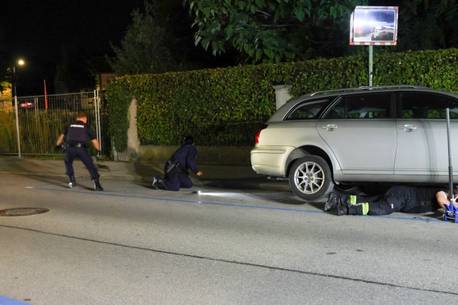 Ktzchen narrte Einsatzkrfte: Samtpfote versteckte sich im Motorraum von gleich drei Fahrzeugen