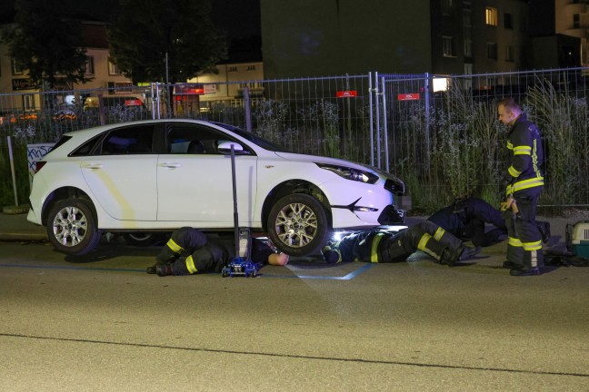 Ktzchen narrte Einsatzkrfte: Samtpfote versteckte sich im Motorraum von gleich drei Fahrzeugen