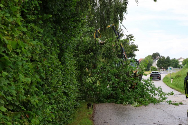 Steinhaus: Sturmben bei kurzem Gewitter sorgten fr mehrere Einstze der Feuerwehr