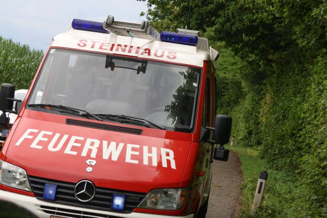 Steinhaus: Sturmben bei kurzem Gewitter sorgten fr mehrere Einstze der Feuerwehr