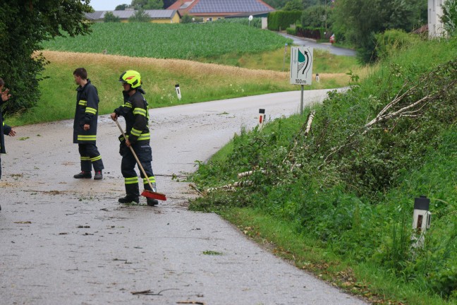Steinhaus: Sturmben bei kurzem Gewitter sorgten fr mehrere Einstze der Feuerwehr
