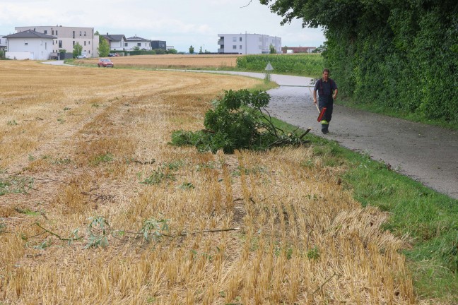 Steinhaus: Sturmben bei kurzem Gewitter sorgten fr mehrere Einstze der Feuerwehr