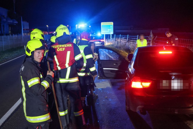 Steinhaus: Einsatzkrfte zu Aufrumarbeiten nach Wildunfall auf der Pyhrnpass Strae alarmiert
