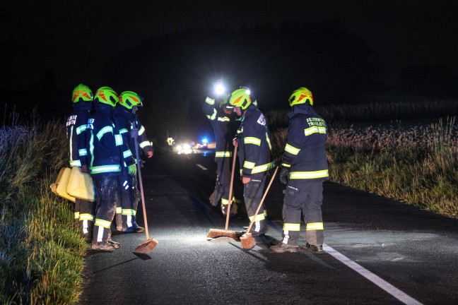 Wildunfall fhrte zu neuerlichem Einsatz einer Feuerwehr in Steinhaus