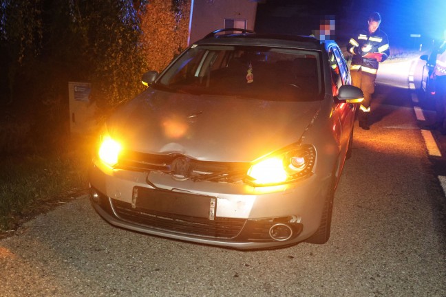 Wildunfall fhrte zu neuerlichem Einsatz einer Feuerwehr in Steinhaus