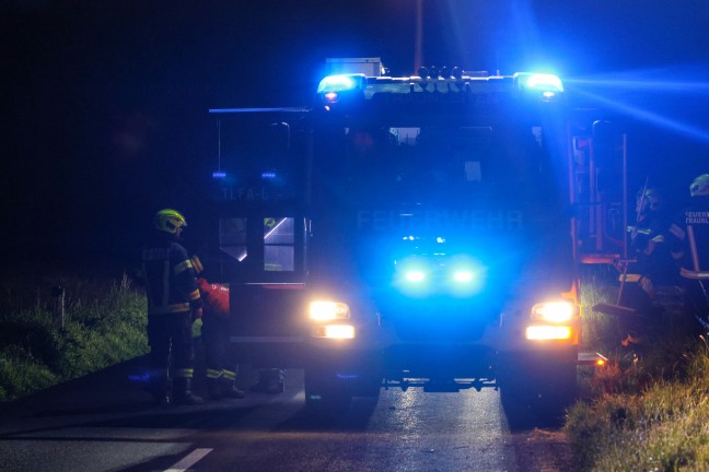 Wildunfall fhrte zu neuerlichem Einsatz einer Feuerwehr in Steinhaus