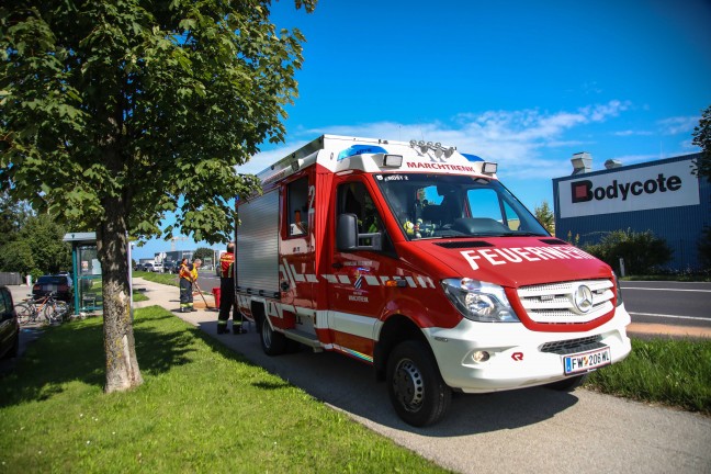 laustritt im Bereich einer Bushaltestelle an der Wiener Strae in Marchtrenk