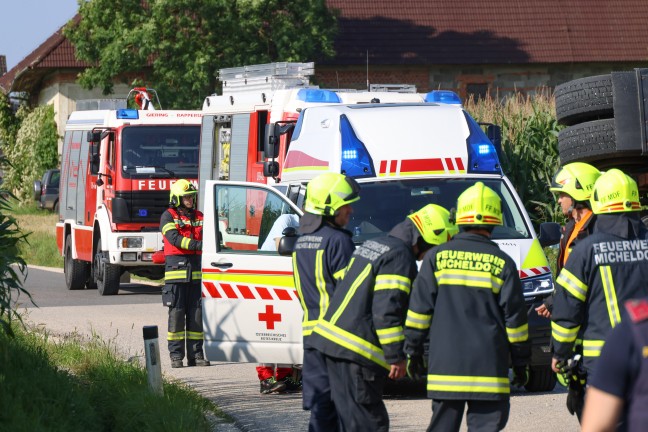 Schweine groteils gerettet: Tiertransportanhnger auf Strae in Sipbachzell umgestrzt