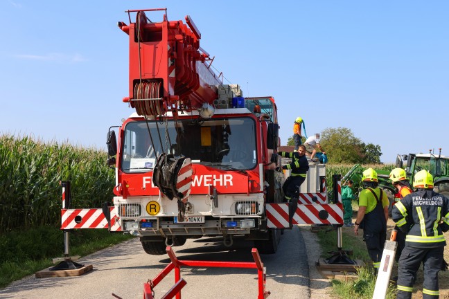 Schweine groteils gerettet: Tiertransportanhnger auf Strae in Sipbachzell umgestrzt