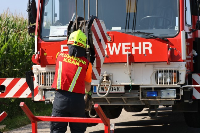 Schweine groteils gerettet: Tiertransportanhnger auf Strae in Sipbachzell umgestrzt