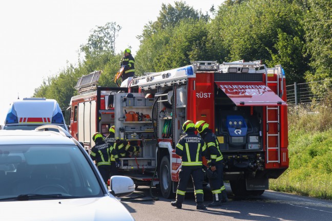 Frontalcrash zweier PKW auf Wiener Strae in Edt bei Lambach fordert zwei Todesopfer (45 und 71)