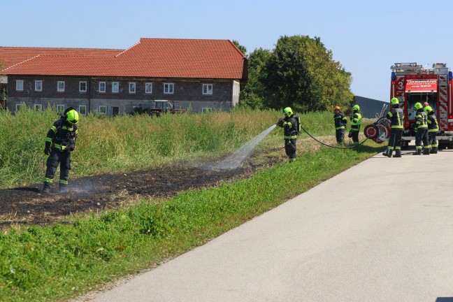 Flurbrand in Marchtrenk sorgte fr Einsatz zweier Feuerwehren