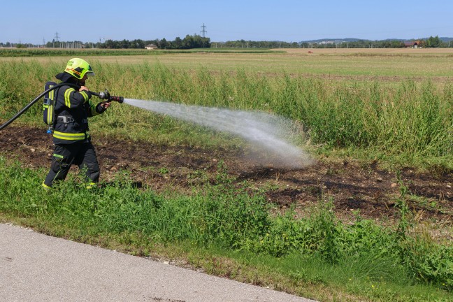Flurbrand in Marchtrenk sorgte fr Einsatz zweier Feuerwehren