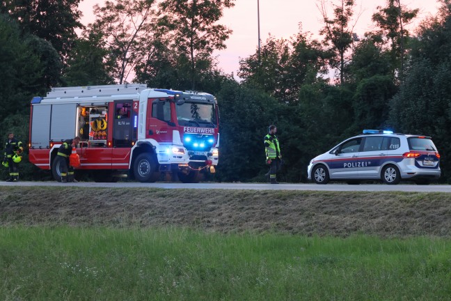 Feuerwehr zu vermeintlichem Feldbrand nach Weikirchen an der Traun alarmiert