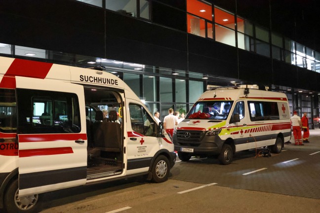 Such- und Rettungshunde im Einsatz: Stundenlange Suche nach abgngiger demenzkranker Frau in Linz