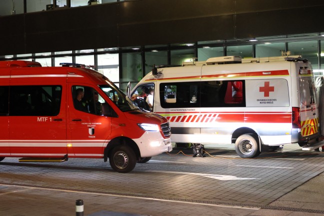Such- und Rettungshunde im Einsatz: Stundenlange Suche nach abgngiger demenzkranker Frau in Linz