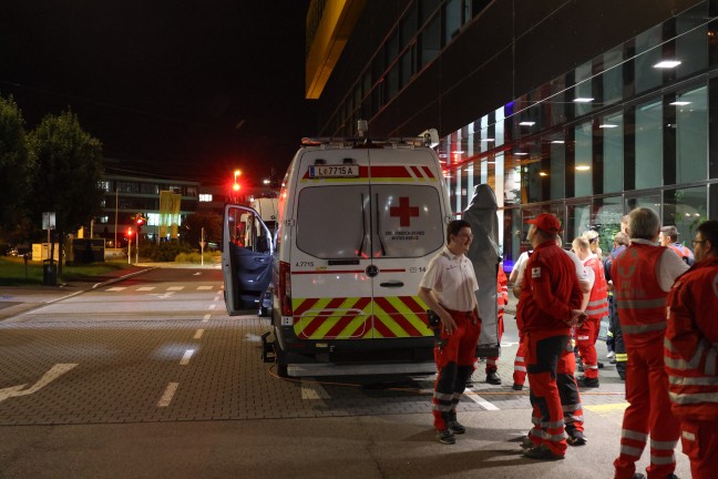 Such- und Rettungshunde im Einsatz: Stundenlange Suche nach abgngiger demenzkranker Frau in Linz