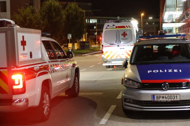 Such- und Rettungshunde im Einsatz: Stundenlange Suche nach abgngiger demenzkranker Frau in Linz