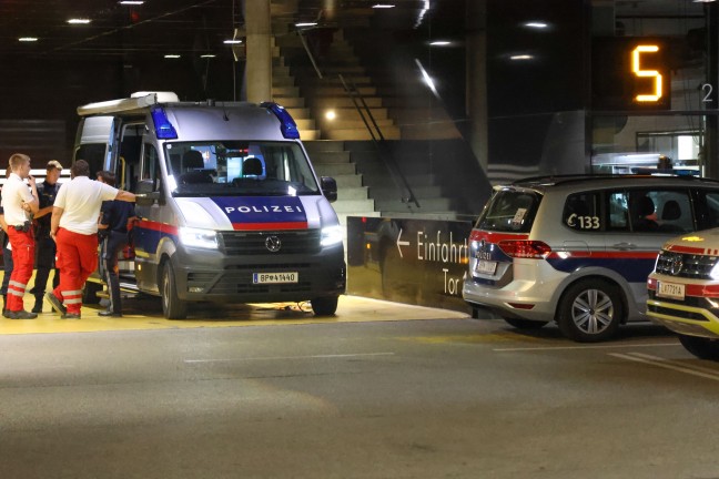 Such- und Rettungshunde im Einsatz: Stundenlange Suche nach abgngiger demenzkranker Frau in Linz