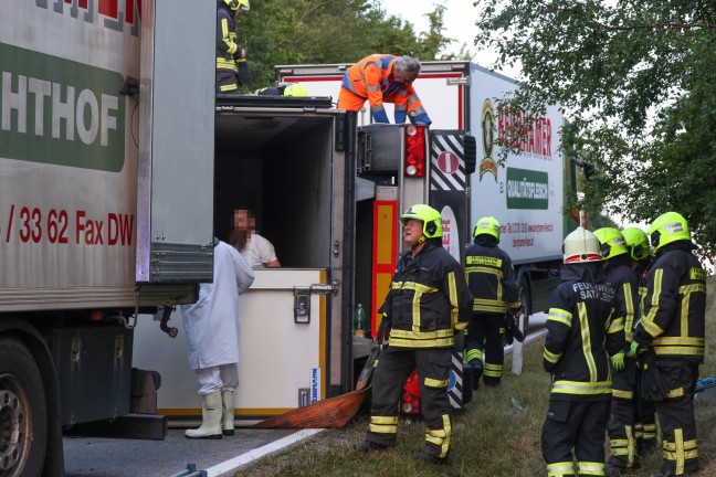 Steinerkirchen an der Traun: Mit Fleisch beladener LKW-Anhnger in Kurvenbereich umgestrzt