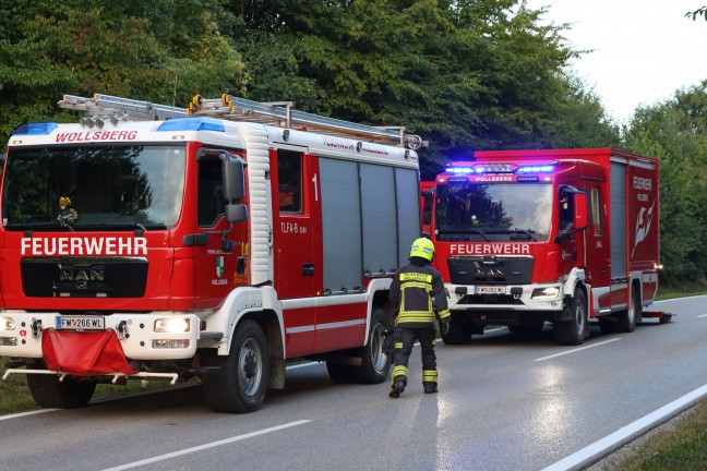 Steinerkirchen an der Traun: Mit Fleisch beladener LKW-Anhnger in Kurvenbereich umgestrzt