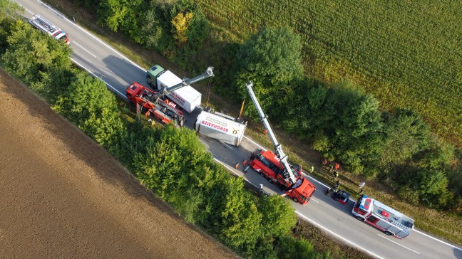 Steinerkirchen an der Traun: Mit Fleisch beladener LKW-Anhnger in Kurvenbereich umgestrzt