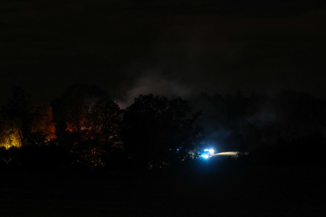 Brand eines Holzstoes an einer Baumzeile in Steinhaus sorgt fr Einsatz zweier Feuerwehren