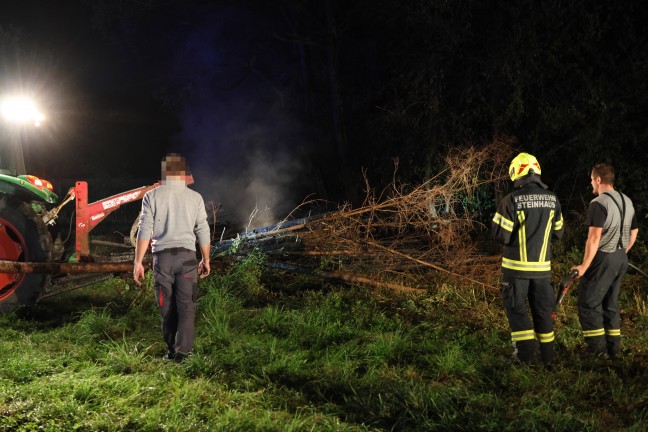 Brand eines Holzstoes an einer Baumzeile in Steinhaus sorgt fr Einsatz zweier Feuerwehren