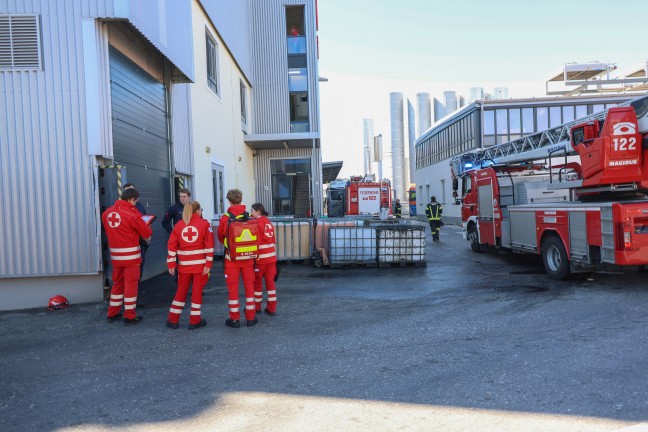 Brandeinsatz bei einem Unternehmen in Wels-Vogelweide