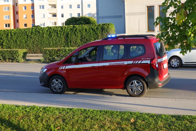 Einsatzkrfte der Feuerwehr bei Suche nach einer kleinen Schlange in Wels-Neustadt im Einsatz