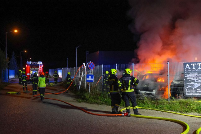 Brand mehrerer abgestellter Autos auf Verkaufsplatz eines Autohndlers in Hrsching