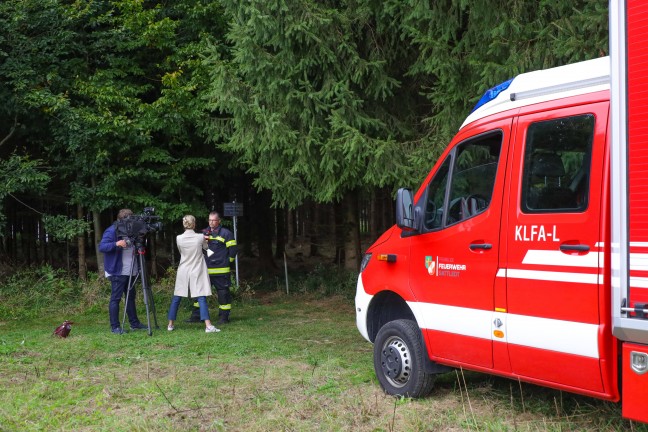 Streng geheimer Einsatz: Elch "Emil" bei Sattledt betubt und im Bhmerwald wieder ausgesetzt