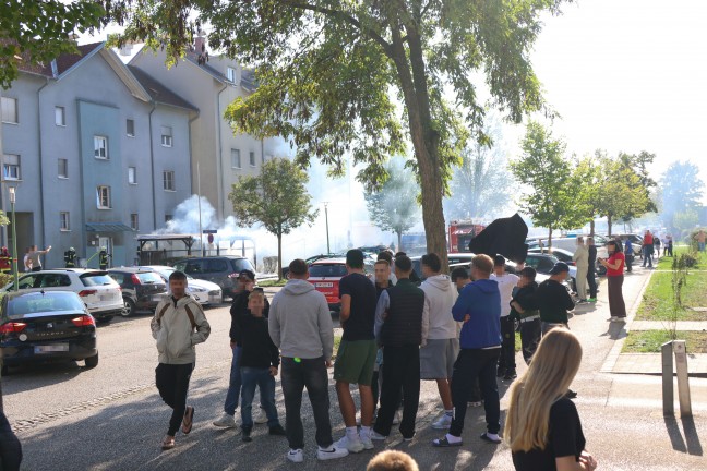 Vollbrand einer Mllinsel: Fassade sowie vier PKW bei grerem Brand in Wels-Neustadt beschdigt
