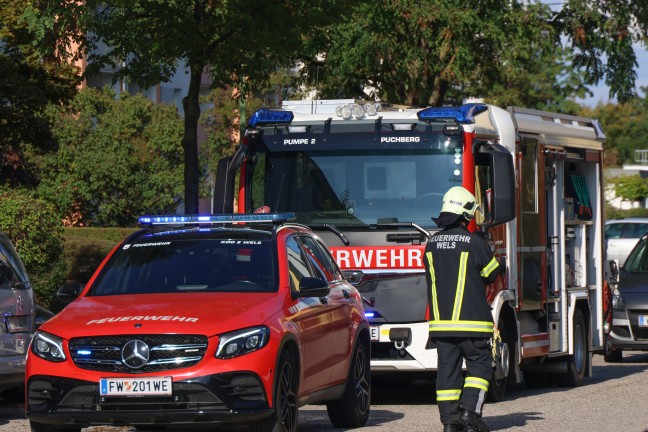 Vollbrand einer Mllinsel: Fassade sowie vier PKW bei grerem Brand in Wels-Neustadt beschdigt