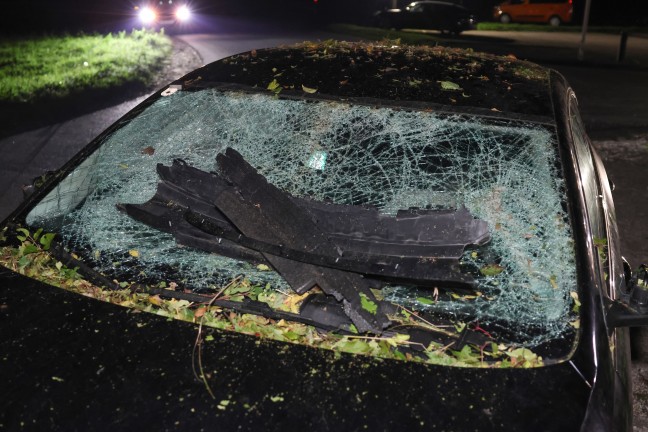 Auto bei Verkehrsunfall auf Wiener Strae in Redlham in den Struchern gelandet