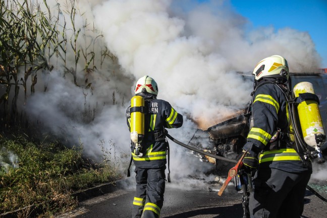 Gasflaschen geladen: Drei Feuerwehren lschten in Vollbrand stehenden Kleintransporter in Marchtrenk