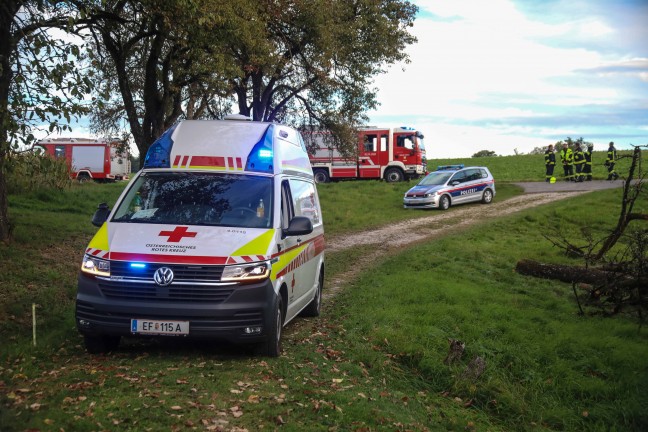 Personenrettung: Person bei Mharbeiten in Scharten unter Balkenmher eingeklemmt