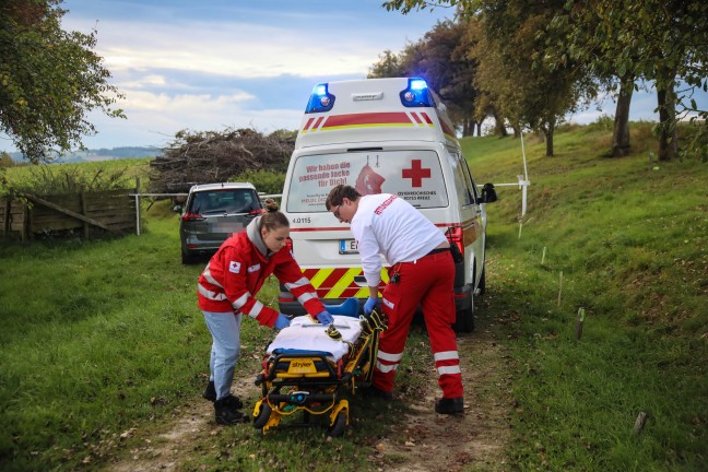 Personenrettung: Person bei Mharbeiten in Scharten unter Balkenmher eingeklemmt