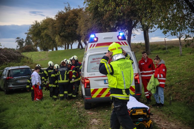 Personenrettung: Person bei Mharbeiten in Scharten unter Balkenmher eingeklemmt