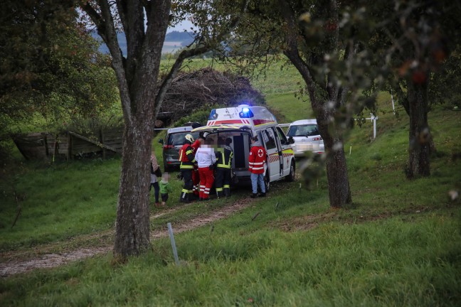Personenrettung: Person bei Mharbeiten in Scharten unter Balkenmher eingeklemmt