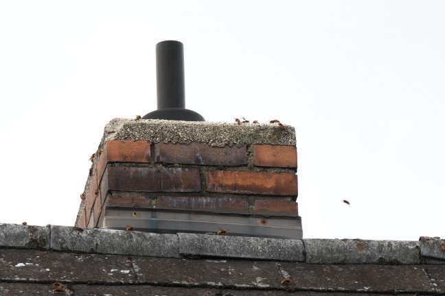 Hornissennest: Verstopfter Kamin sorgt fr verrauchtes Wohnhaus in Wels-Pernau
