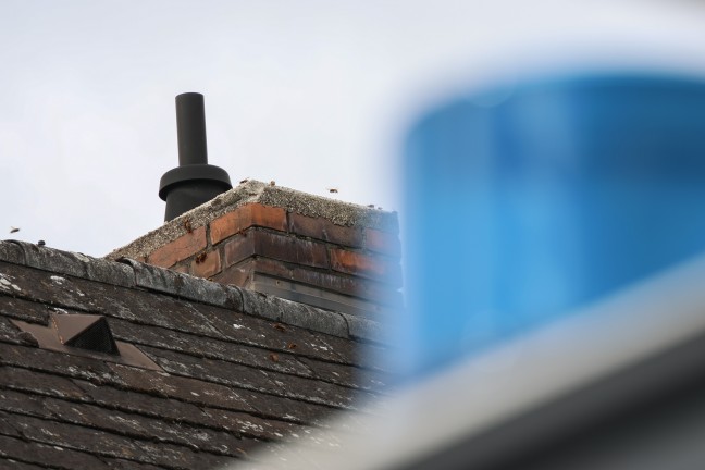 Hornissennest: Verstopfter Kamin sorgt fr verrauchtes Wohnhaus in Wels-Pernau