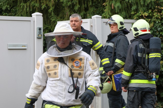Hornissennest: Verstopfter Kamin sorgt fr verrauchtes Wohnhaus in Wels-Pernau