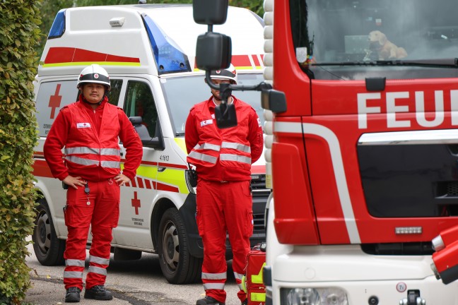 Hornissennest: Verstopfter Kamin sorgt fr verrauchtes Wohnhaus in Wels-Pernau