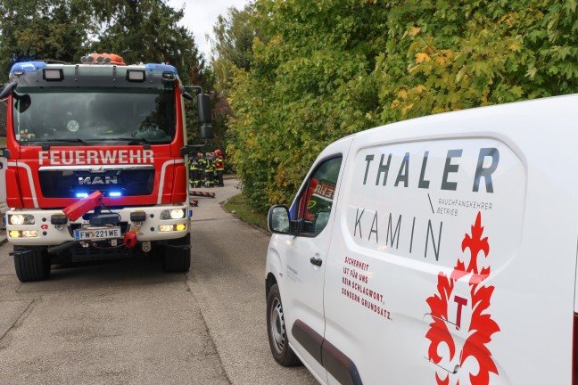 Hornissennest: Verstopfter Kamin sorgt fr verrauchtes Wohnhaus in Wels-Pernau