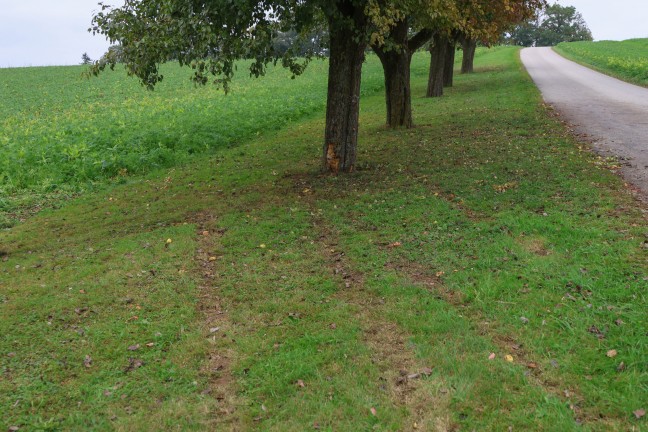 Frontalcrash gegen Baum: Verkehrsunfall in Ried im Traunkreis fordert drei teils Schwerverletzte